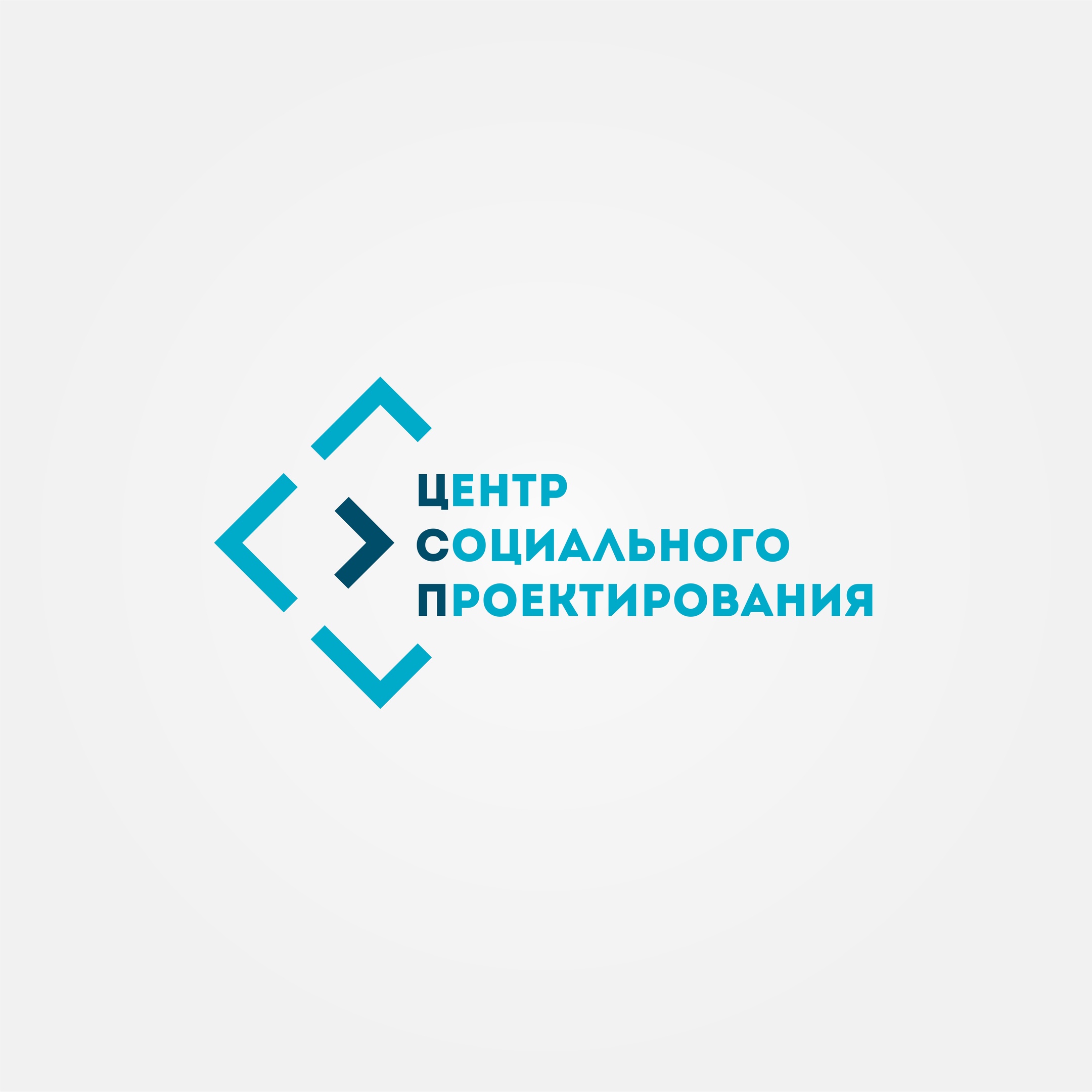 Публичный отчет о деятельности ЧРОО "ЦСП" за 2019 год